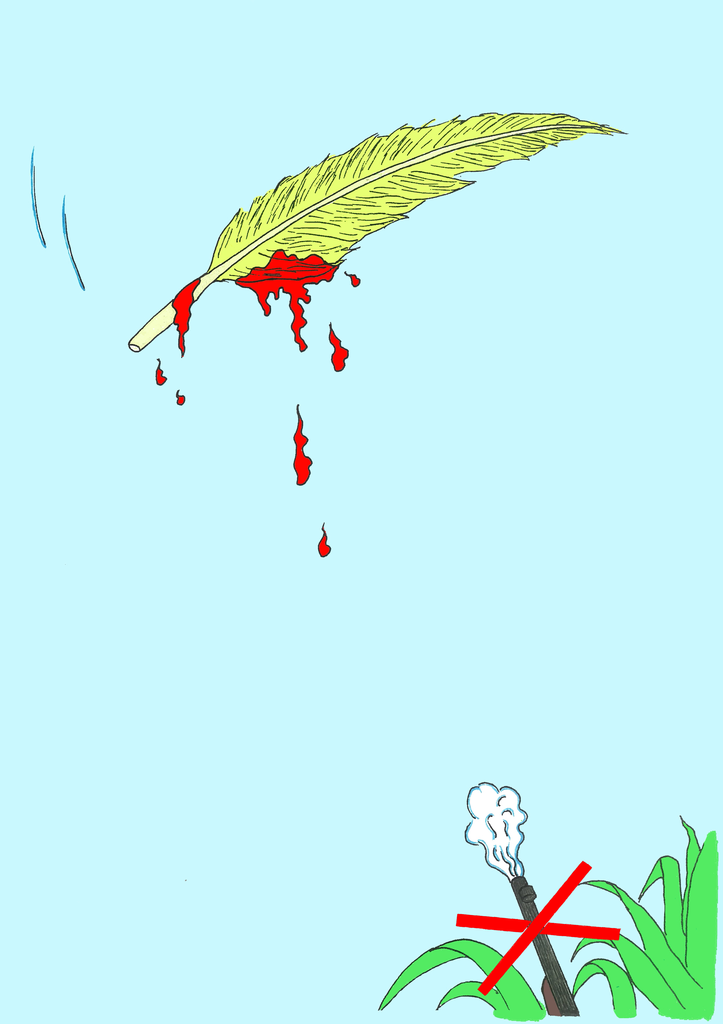 不許獵殺飛禽！